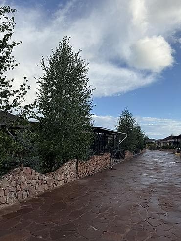 кон завод: Коттедж, Diamond Resort, Бостери, 12 мест — 3