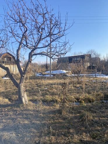 щитовые дачные дома: Дача, 30 м², 4 комнаты, Собственник — 11