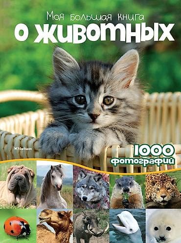 рисую: Подборка книг и журналов о животных и домашних питомцах. В комплекте — 6