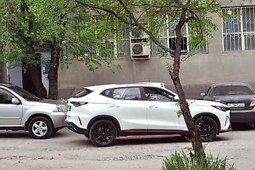 полевые работы: Уборка территории, Уборка двора и сада — 1