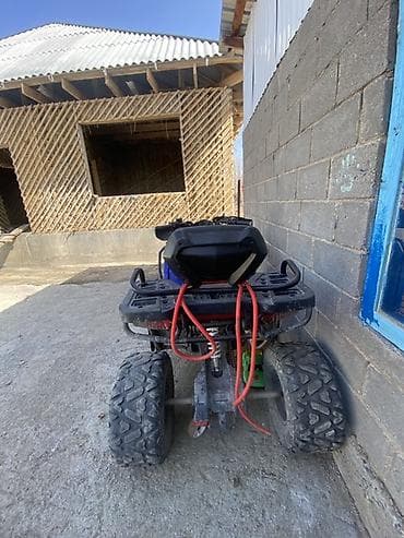 Квадроциклы: .квадрацикл саталат 250 куб взрослый — 3