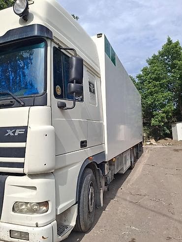 Тягач, DAF, 2004 г., Холодильник, рефрижератор — 7