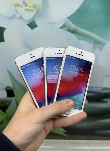 чехол а5: IPhone 5s, Б/у, 16 ГБ, Зарядное устройство, Кабель — 1