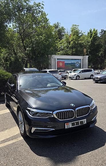 BMW 5 series: 2019 г., Бензин
