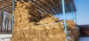 Клеаер в тюках под навесом. Описание: - Прессованные прямоугольные