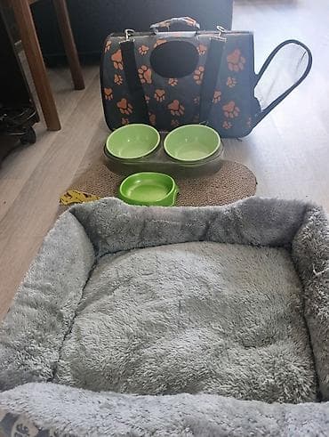 Продаю б/ у аксессуары для кошки. За все прошу 2000с. Все в отличном at lalafo.kg Продаю б/ у аксессуары для кошки. За все прошу 2000с. Все в отличном