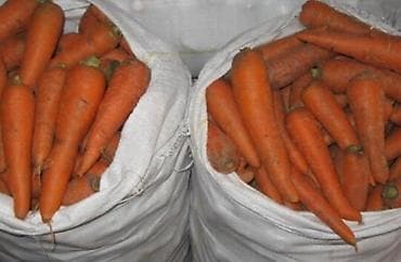 кукуруза месный: Морковь на корм 1мешок 300 сом — 1