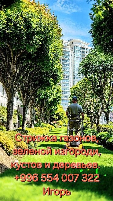 плот: Профессиональный ландшафтный уход за садом и участком - Стрижка — 1