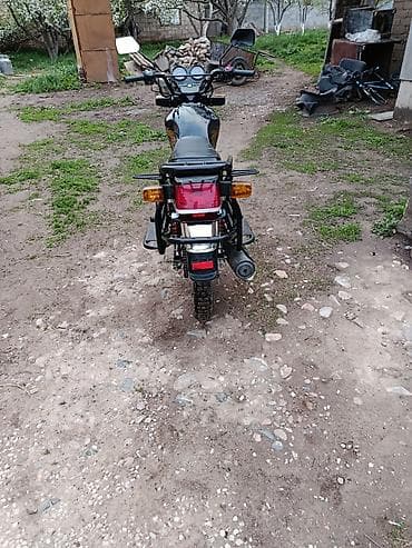 мотор на мопед: Мотоцикл дорожный/утилитарный GS-200CC (табличка на баке и боковинах) — 4