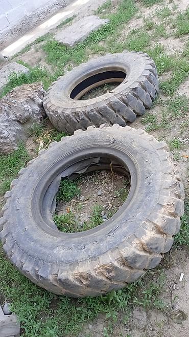 шины 24550 r20 зима: Шины для спецтехники экскаватор 140 — 4