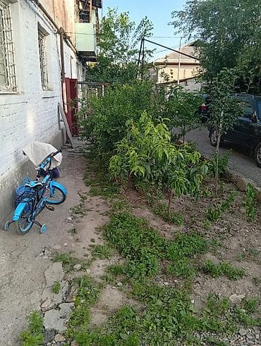 amir stroy: 2 комнаты, 40 м², 103 серия, 1 этаж, Евроремонт — 9