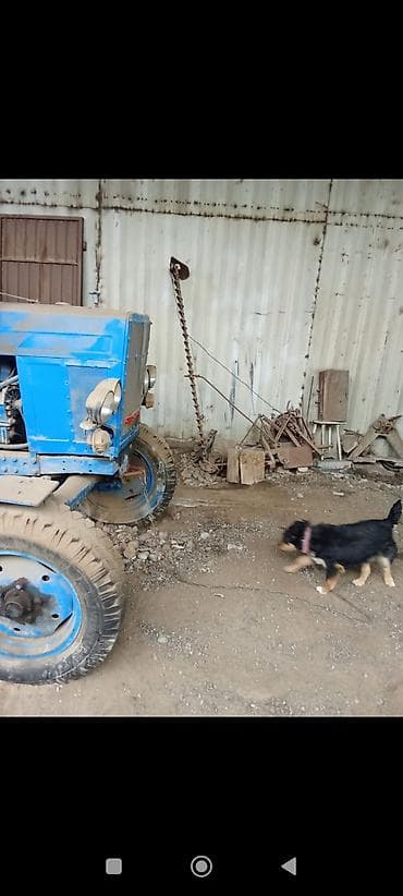 кабина комбайн: Трактор с комплектом сельхознавески и прицепом. 87 года акум новый — 6