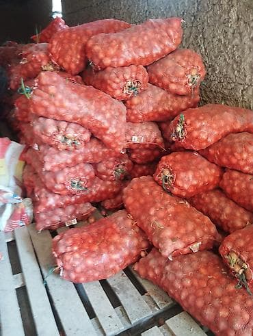 стол бу бишкек: Пияз Дүңүнөн, Өзү алып кетүү — 2