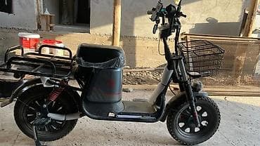 сумка для багажа: Электрический грузовой скутер/мопед для города и доставки — 3