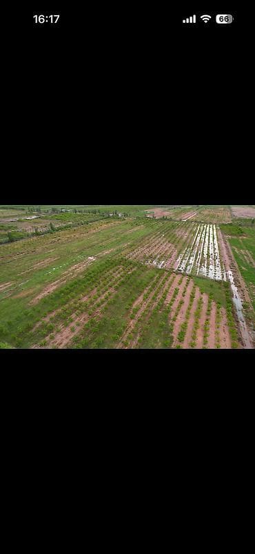 куплю поля: 400 соток, Для сельского хозяйства, Красная книга — 2