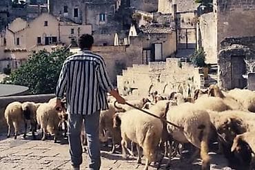 материалы для ламинирования ресниц: Требуется Скотник, Оплата: Ежемесячно, Питание — 1