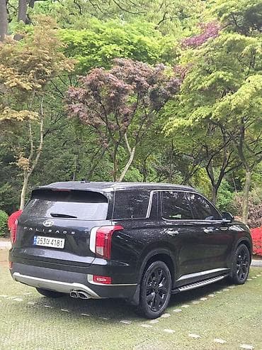 корейский внедорожник: Hyundai Palisade: 2019 г., 2.2 л, Автомат, Бензин, Внедорожник — 3