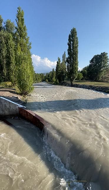 Дома: 🚨 Шашылыш сатылат! 🏡 Сокулук району, «Вишенка» дача конушу ✨ Табияты — 7