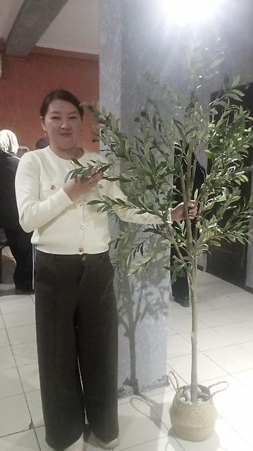 массаж ог: Лечебный массаж. Спортивный,,,лимфодренажный,,микс,,точечный,,Стоун — 2