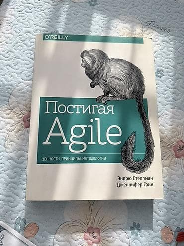 Книга «Постигая Agile: ценности, принципы, методологии» Авторы