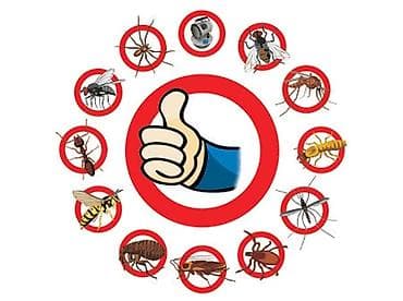 aura roboclean: Дезинфекция, дезинсекция, | Муравьи, | Офисы — 1