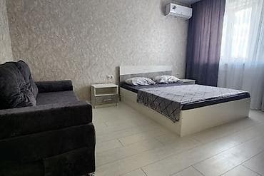kant flat: 1 комната, Люкс, элитка, Филармония, Душевая кабина, Постельное белье, Кондиционер — 4