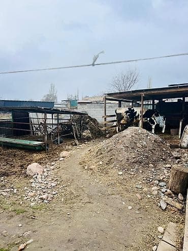 продается дом ананева: ҮЙ САТЫЛАТ 🏡 Дареги: Сокулук, с. Маловодное, Киров көчөсү 19 💰 Баасы — 9