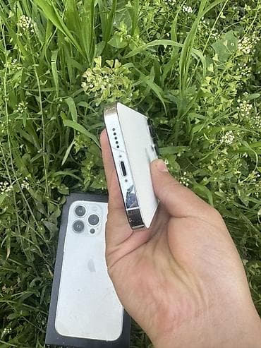 google pixel c: IPhone 13 Pro, Серебристый, Коробка — 7