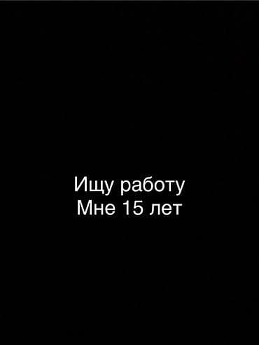 ветерина: Ищу работу - Студент, Без опыта, Неполный рабочий день — 1