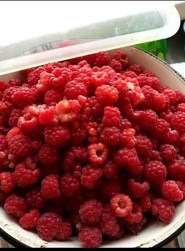 Малина В розницу, Бесплатная доставка