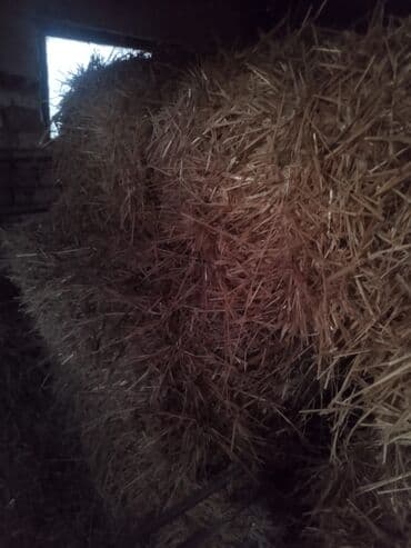 для капельного полива: Тюки соломы (прямоугольные, малые). - Плотно спрессованные — 2