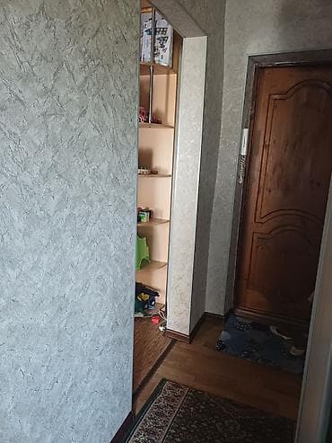 Кыймылсыз мүлк: 1 бөлмө, Пишпек Менчик ээси, Балдарсыз түгөйлөргө, 1 жылдан баштап, Толугу менен эмереги бар — 2