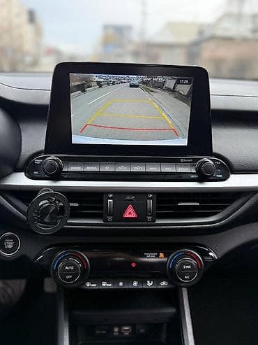 l9 pro: Kia Cerato: 2019 г., Бензин, Седан — 8