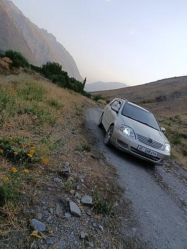 сузуки вогон: Toyota Corolla: 2004 г., Механика, Бензин, Универсал — 3