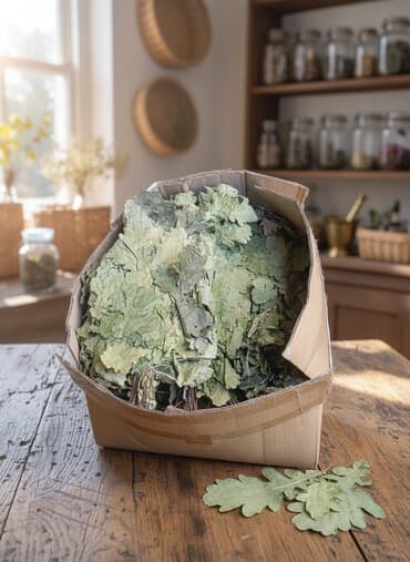 Красота и здоровье: Веники для бани из дуба - Натуральные дубовые листья, собранные на — 1