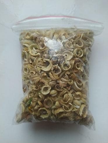 семена шафран: Календула семена (в Пригородном ) — 3