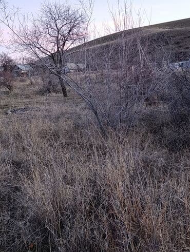 токмок участки: 5 соток, Для строительства — 3