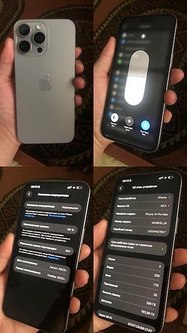 IPhone 15 Pro Max, 256 ГБ, Natural Titanium, 84 % — 1