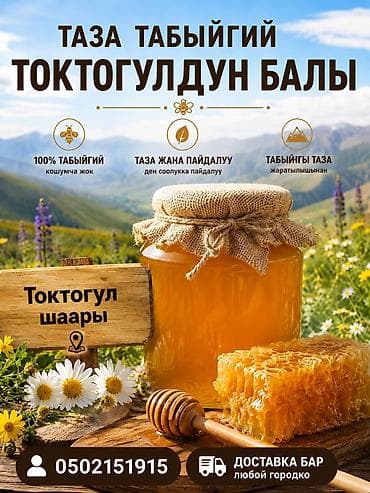 Натуральный мёд из Токтогула - 100% натуральный продукт без добавок — 1