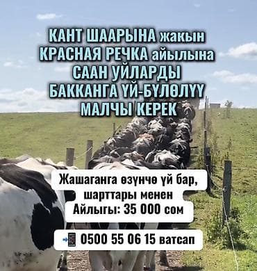Требуется Пастух, Оплата: Ежемесячно