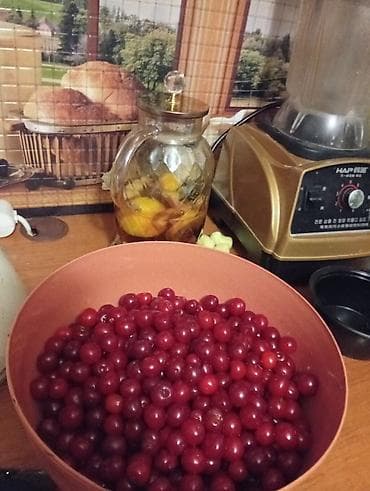 продам черешню: Продаю вишню 1 кг 100 сом собираю на заказ — 2