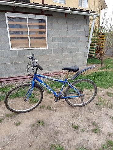 трансмистер: Горный велосипед, Lespo, Рама S (145 - 165 см), Сталь, Б/у — 4