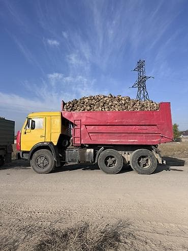 Транспорт: Жүк ташуучу унаа, Камаз, Стандарт — 3