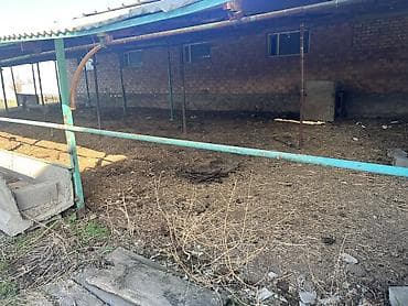 продаж дом ак босого бишкек: Кой короо, 1000 соток, Иштеп жаткан, Жарым-жартылай жабдуулары менен, Электр энергиясы, Муздак суу — 10