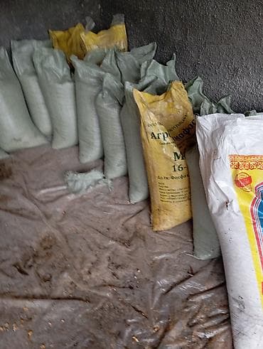 Таңгактоочу жана фасовкалоочу аппараттар: Продаю кукурузу есть 20мешков — 2