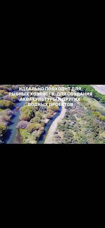 маловодное кыргызстан: Рыбное хозяйство, 500 соток, Действующий — 4