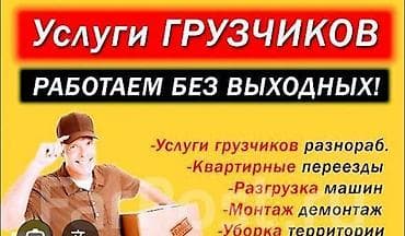 Грузчик. С опытом