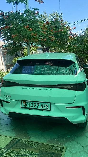 BYD Qin: 2019 г., Электромобиль, Седан — 2