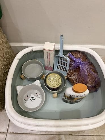 pro plan: Набор для кошки — всё необходимое сразу Состав: - Домик-когтеточка с — 2