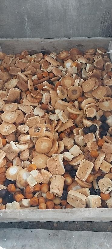 поставщики кормов для животных бишкек: Булочка сатылат 1 кг 15 сом . ушул бойдон дробилкадан чыгарып да — 1